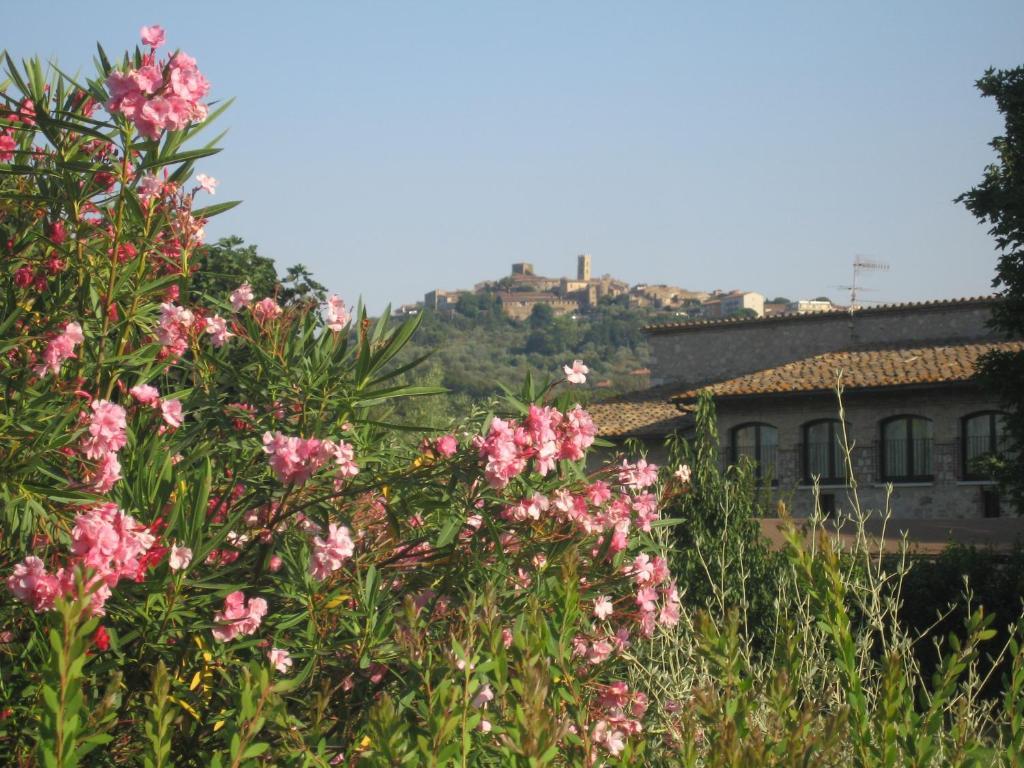 Villa Acquaviva Wine Resort Montemerano Ngoại thất bức ảnh